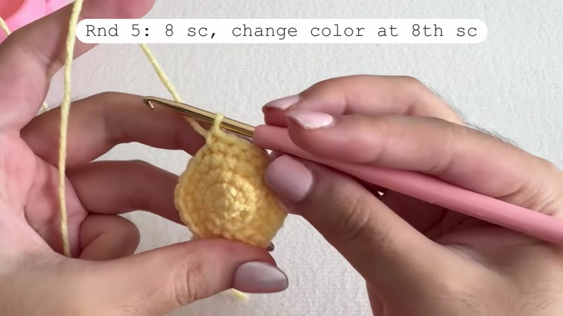Step 8: Crochet the Hat