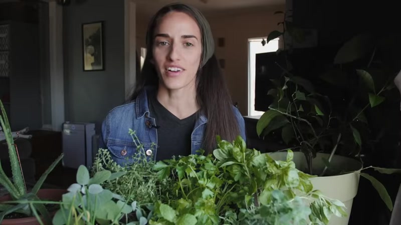 Step 1: Determine Your Growing Zone and Location
