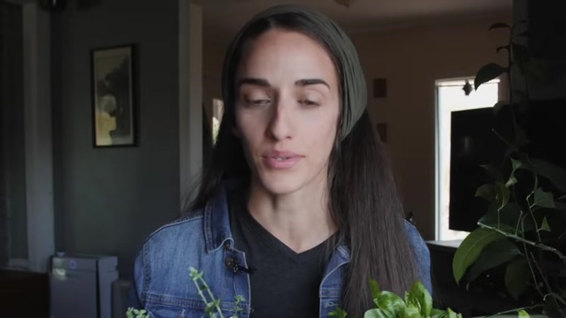 Step 2: Choose Your First Herbs