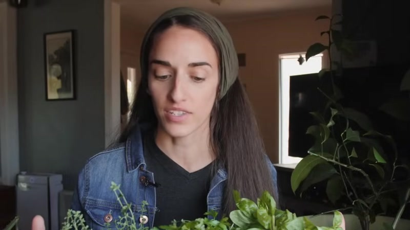 Step 4: Plant Your Herbs