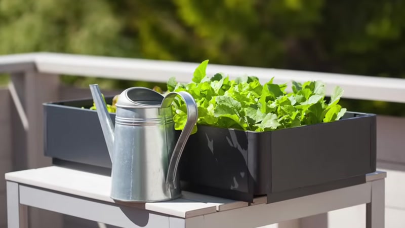 Step 3: Choose Your Containers